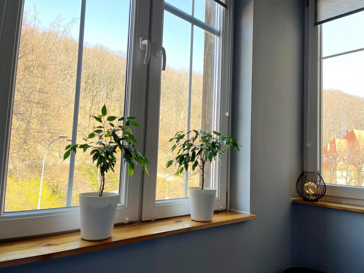 Noclegi Pod Muflonem Wałbrzych Buitenkant foto